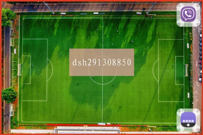 dsh291308850