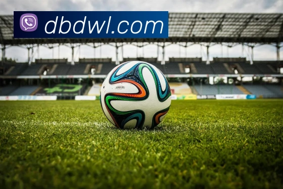 开云平台生态图